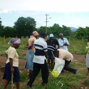 Farmin-Inna-De-City-066