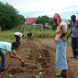 Farmin-Inna-De-City-070