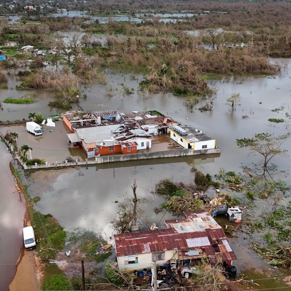 Devastation in St. Elizabeth