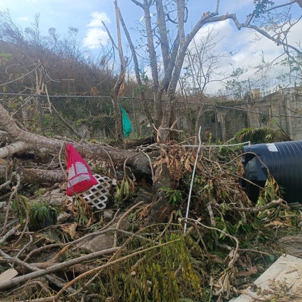 Garland Hall Children's Home, St. James